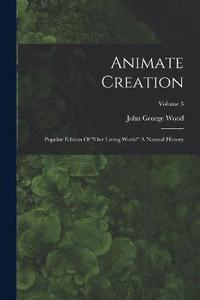 bokomslag Animate Creation