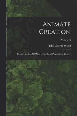 bokomslag Animate Creation