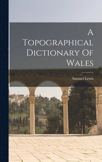 bokomslag A Topographical Dictionary Of Wales