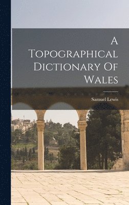 A Topographical Dictionary Of Wales 1