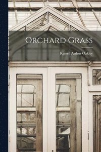 bokomslag Orchard Grass