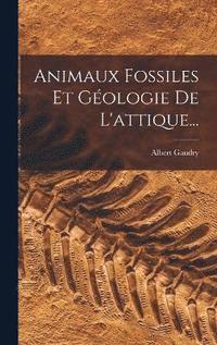 bokomslag Animaux Fossiles Et Gologie De L'attique...