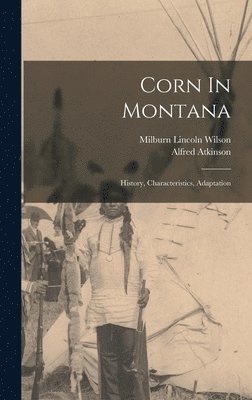 Corn In Montana 1