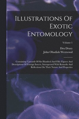 Dru Drury - Illustrations Of Exotic Entomology, Häftad