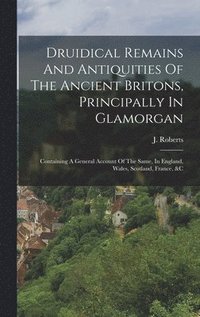 bokomslag Druidical Remains And Antiquities Of The Ancient Britons, Principally In Glamorgan