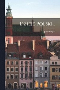 bokomslag Dzieje Polski...