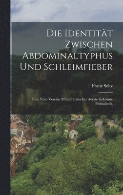 bokomslag Die Identitt zwischen Abdominaltyphus und Schleimfieber