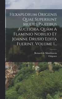 bokomslag Hexaplorum Origenis Quae Supersunt Multis Partibus Auctiora, Quàm A Flaminio Nobilio Et Joanne Drusio Edita Fuerint, Volume 1...