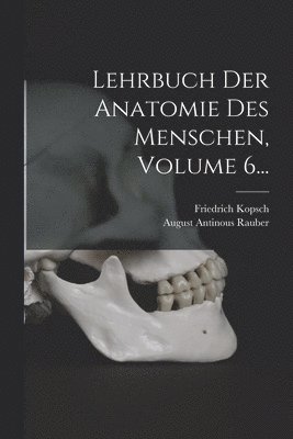 August Antinous Rauber, Friedrich Kopsch - Lehrbuch Der Anatomie Des Menschen, Volume 6..., Häftad
