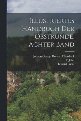 bokomslag Illustriertes Handbuch der Obstkunde, achter Band