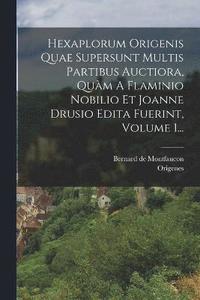 bokomslag Hexaplorum Origenis Quae Supersunt Multis Partibus Auctiora, Qum A Flaminio Nobilio Et Joanne Drusio Edita Fuerint, Volume 1...