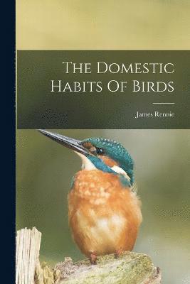 Domestic Habits Of Birds