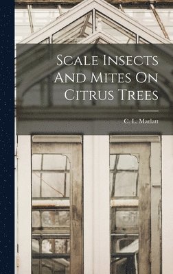 Scale Insects And Mites On Citrus Trees 1