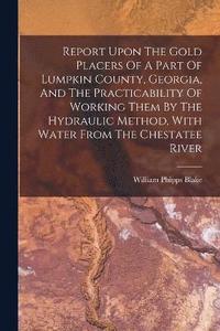 bokomslag Report Upon The Gold Placers Of A Part Of Lumpkin County, Georgia, And The Practicability Of Working Them By The Hydraulic Method, With Water From The Chestatee River