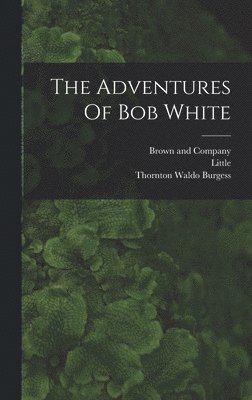 Thornton Waldo Burgess, Little - Adventures Of Bob White, Inbunden