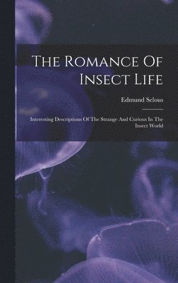 bokomslag The Romance Of Insect Life