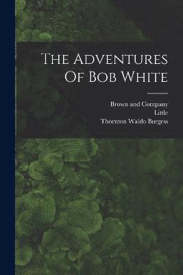 Thornton Waldo Burgess, Little - Adventures Of Bob White, Häftad