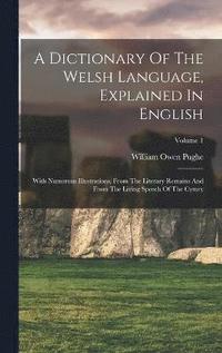 bokomslag A Dictionary Of The Welsh Language, Explained In English