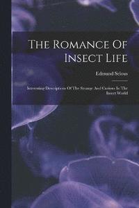 bokomslag The Romance Of Insect Life