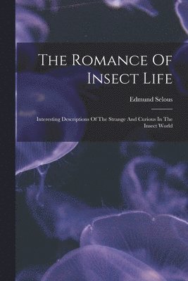 Edmund Selous - Romance Of Insect Life, Häftad