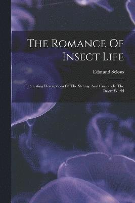 The Romance Of Insect Life 1