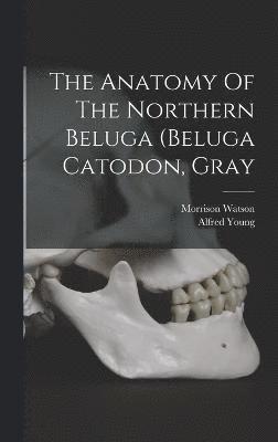 The Anatomy Of The Northern Beluga (beluga Catodon, Gray 1