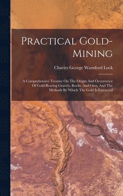 bokomslag Practical Gold-mining
