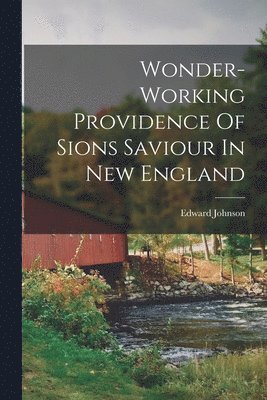 Wonder-working Providence Of Sions Saviour In New England 1