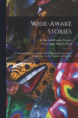 bokomslag Wide-awake Stories