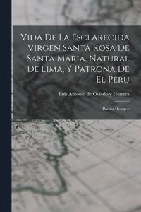 bokomslag Vida De La Esclarecida Virgen Santa Rosa De Santa Maria, Natural De Lima, Y Patrona De El Peru