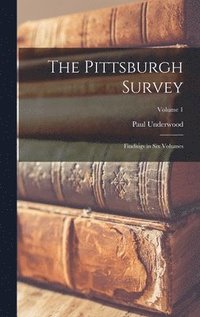 bokomslag Pittsburgh Survey; Findings in Six Volumes; Volume 1