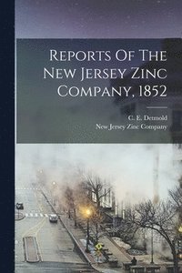 bokomslag Reports Of The New Jersey Zinc Company, 1852