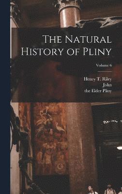 bokomslag The Natural History of Pliny; Volume 6