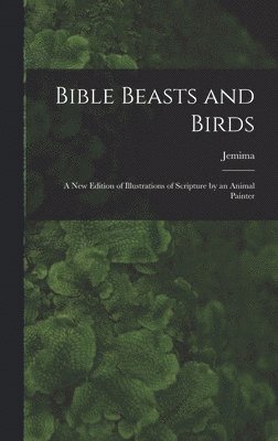 bokomslag Bible Beasts and Birds