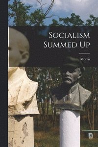 bokomslag Socialism Summed Up