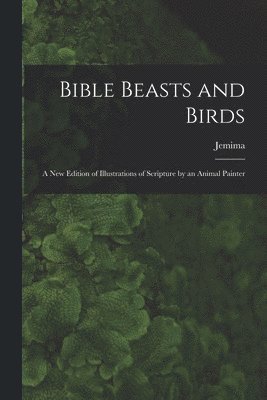 bokomslag Bible Beasts and Birds