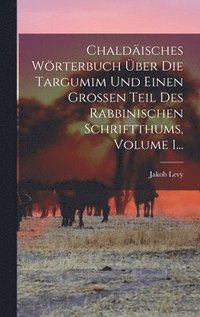 bokomslag Chaldisches Wrterbuch ber Die Targumim Und Einen Groen Teil Des Rabbinischen Schriftthums, Volume 1...