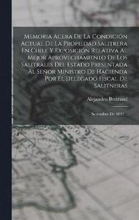 bokomslag Memoria Acera De La Condicin Actual De La Propiedad Salitrera En Chile Y Exposicin Relativa Al Mejor Aprovechamiento De Los Salitrales Del Estado Presentada Al Seor Ministro De Hacienda Por El