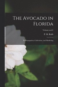 bokomslag The Avocado in Florida