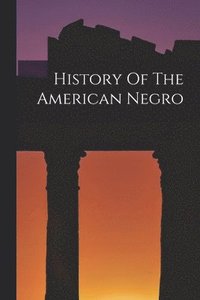 bokomslag History Of The American Negro