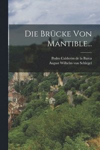 bokomslag Brücke Von Mantible...