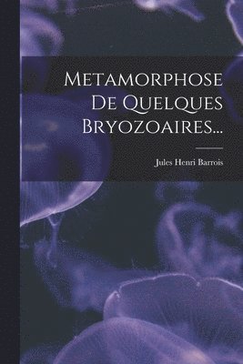 bokomslag Metamorphose De Quelques Bryozoaires...