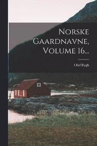 bokomslag Norske Gaardnavne, Volume 16...
