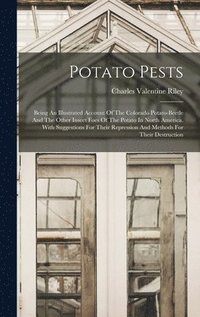 bokomslag Potato Pests