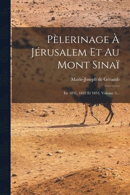 bokomslag Plerinage  Jrusalem Et Au Mont Sina