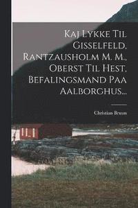 bokomslag Kaj Lykke Til Gisselfeld, Rantzausholm M. M., Oberst Til Hest, Befalingsmand Paa Aalborghus...