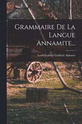 bokomslag Grammaire De La Langue Annamite...