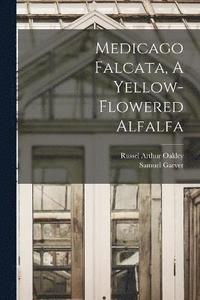 bokomslag Medicago Falcata, A Yellow-flowered Alfalfa