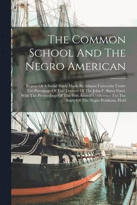 bokomslag The Common School And The Negro American