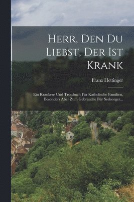 Franz Hettinger - Herr, den du Liebst, der ist Krank, Häftad